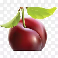 剪贴画png图片李子图形图像李树-空若网 剪贴画png图片李子图形图像李树-空若网