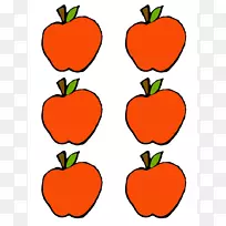 ƻ����ѧ������-����������-������