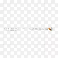 产品设计线字体-艾米怀恩豪斯-空若网 产品设计线字体-艾米怀恩豪斯-空若网