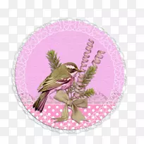 纸标签贴纸png图片图像花边标签-空若网 纸标签贴纸png图片图像花边标签-空若网