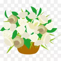 玫瑰美丽的花朵-空若网 玫瑰美丽的花朵-空若网