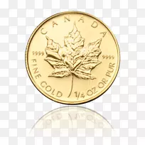 ��Ҽ��ô���Ҷ����-������