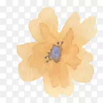 ��������������ͷɶ�-����-������