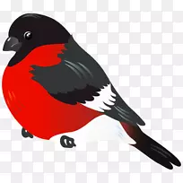 ���������-��-������