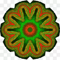 对称型有机体-18虫-空若网 对称型有机体-18虫-空若网