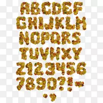 ���嶯��ͼ������.��Ҷ����-������