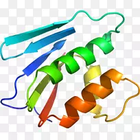 剪贴画产品设计有机体线-大西洋鳕鱼-空若网 剪贴画产品设计有机体线-大西洋鳕鱼-空若网