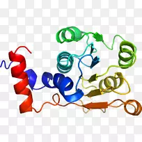 剪贴画产品设计平面设计有机体大西洋鳕鱼-空若网 剪贴画产品设计平面设计有机体大西洋鳕鱼-空若网