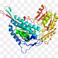 剪贴画有机体线身首饰.大西洋鳕鱼-空若网 剪贴画有机体线身首饰.大西洋鳕鱼-空若网