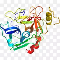 剪贴画插画线有机体产品线-空若网 剪贴画插画线有机体产品线-空若网