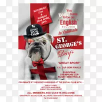 狗在卷发中繁殖狗(阿凡提)海报忘了你-狗-空若网 狗在卷发中繁殖狗(阿凡提)海报忘了你-狗-空若网