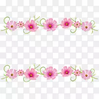 花卉设计插图花宇宙秋花-空若网 花卉设计插图花宇宙秋花-空若网