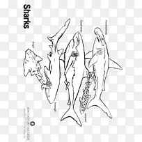 素描手指插画线画海葵-空若网 素描手指插画线画海葵-空若网