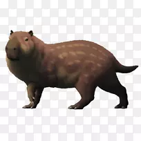 海狸上新世啮齿动物-空若网 海狸上新世啮齿动物-空若网