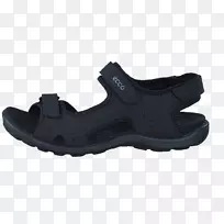 ŮЬ��Ь����ѵ����Ʒ����Ь-������