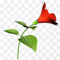 ֲ�ﻨ�격�ͻ�������-���˾�η���ŶӺ�����Ȥ-������