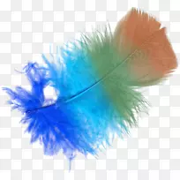 ��ëɫ����ѹ����ë-������