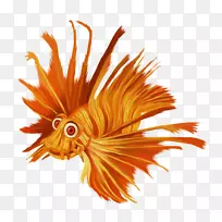 ��ˮ�ʻ�������-��-������