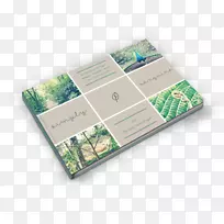 �����ֲ�����Ҹ�����˹���³���񰲵�ɭ����д����-������