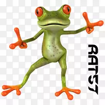 ���ܶ�����ά�����ͼ�ζ�������������-������