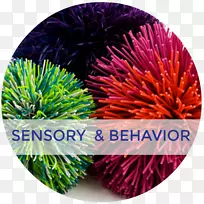 �о���ϵͳ�о��ӹ��о�ǰͥϵͳ������д˼��-������