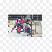 冰上曲棍球滚轴曲棍球乐队产品.可打印的排球阵容卡aaa-空若网 冰上曲棍球滚轴曲棍球乐队产品.可打印的排球阵容卡aaa-空若网