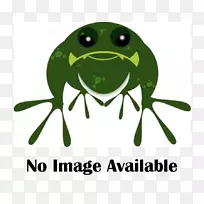 真正的青蛙树蛙两栖动物剪贴画青蛙-空若网 真正的青蛙树蛙两栖动物剪贴画青蛙-空若网