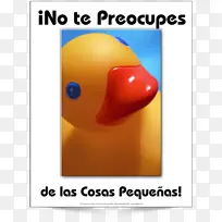 字体短信-团队精神海报西班牙语-空若网 字体短信-团队精神海报西班牙语-空若网