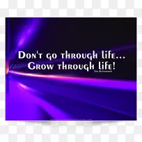 ����Ʒ�Ʋ�Ʒ����-�ŶӺ�����������������-������