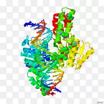 ƽ����������л�������-OMB PEEZYϵ��-������