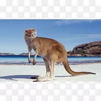 �Ĵ�����Լ�˿��������������ϵ-������