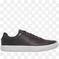 �˶�Ь�������ϴ�˹Ь.���ϴ�˹-������