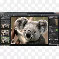 图像编辑adobe Photoshop元素adobe系统计算机软件-考拉-空若网 图像编辑adobe Photoshop元素adobe系统计算机软件-考拉-空若网