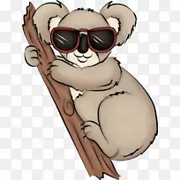 负鼠魔法考拉澳大利亚北极熊考拉-空若网 负鼠魔法考拉澳大利亚北极熊考拉-空若网