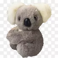 考拉玩具公司。摄影-考拉-空若网 考拉玩具公司。摄影-考拉-空若网