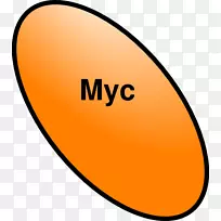 �������߲�Ʒ����.OMBѭ��-������