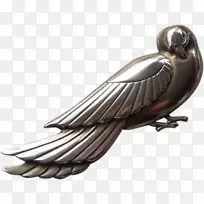 羽毛喙-羽毛-空若网 羽毛喙-羽毛-空若网