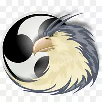 鸟安卓鹰-空若网 鸟安卓鹰-空若网