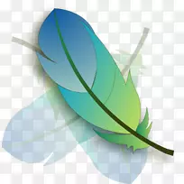 徽标模型-羽毛-空若网 徽标模型-羽毛-空若网