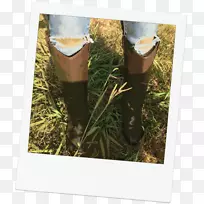 草鞋树.妇女烫伤时用的狗皮鞋-空若网 草鞋树.妇女烫伤时用的狗皮鞋-空若网