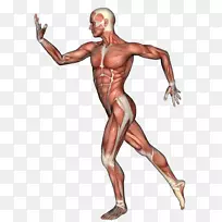 Bioworks,Inc.骨科外科髋部电子邮件-女性烫伤用皮鞋-空若网 Bioworks,Inc.骨科外科髋部电子邮件-女性烫伤用皮鞋-空若网