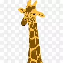 长颈鹿T恤动画长颈鹿-空若网 长颈鹿T恤动画长颈鹿-空若网