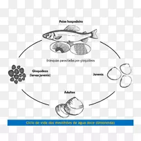 ������������Ʋ�Ʒ��Ʒ�װ���-������