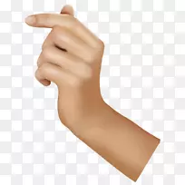 手指夹艺术龙虾-空若网 手指夹艺术龙虾-空若网