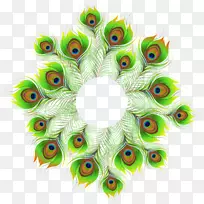 ��ë��ȸ������-��ȸ-������