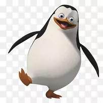 企鹅动画剪辑艺术-企鹅-空若网 企鹅动画剪辑艺术-企鹅-空若网