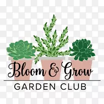 室内植物播客叶无线电花园-叶-空若网 室内植物播客叶无线电花园-叶-空若网