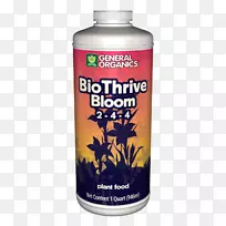 Gh一般有机生物盛开一般有机生物茁壮成长营养一般有机生物茁壮成长1 qt一般有机生物oroot 1 qt一般有机物CAMG+1 qt-水培箱肥-空若网 Gh一般有机生物盛开一般有机生物茁壮成长营养一般有机生物茁壮成长1 qt一般有机生物oroot 1 qt一般有机物CAMG+1 qt-水培箱肥-空若网