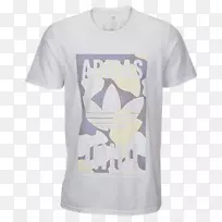 t�����ϴ�˹ԭװ�˶���t��-������