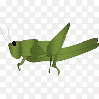 昆虫蚂蚁和蚱蜢剪贴画-蚱蜢剪贴画-空若网 昆虫蚂蚁和蚱蜢剪贴画-蚱蜢剪贴画-空若网